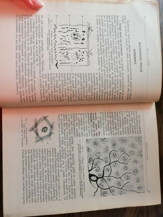 Carte medicina "Dermatologie și Venerologie"