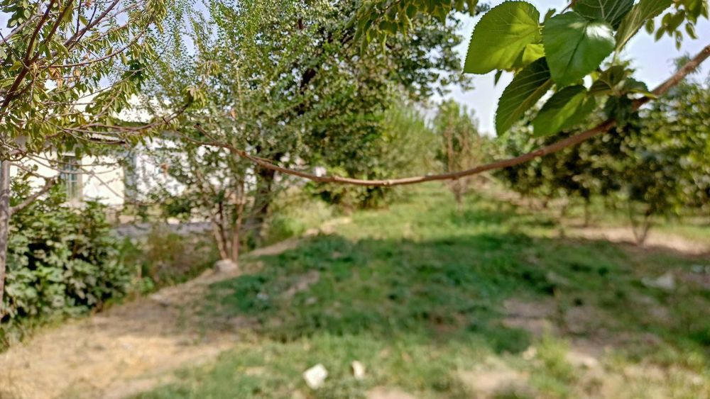 Uchaska sotiladi