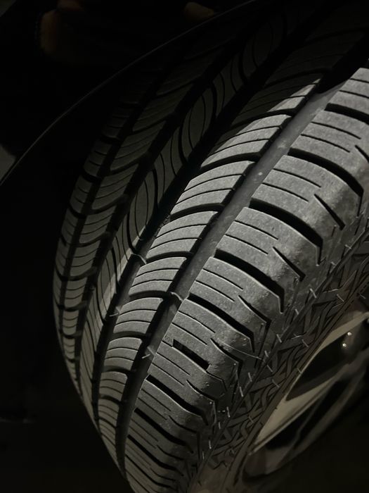 Tracker Premier Diska Monzaga