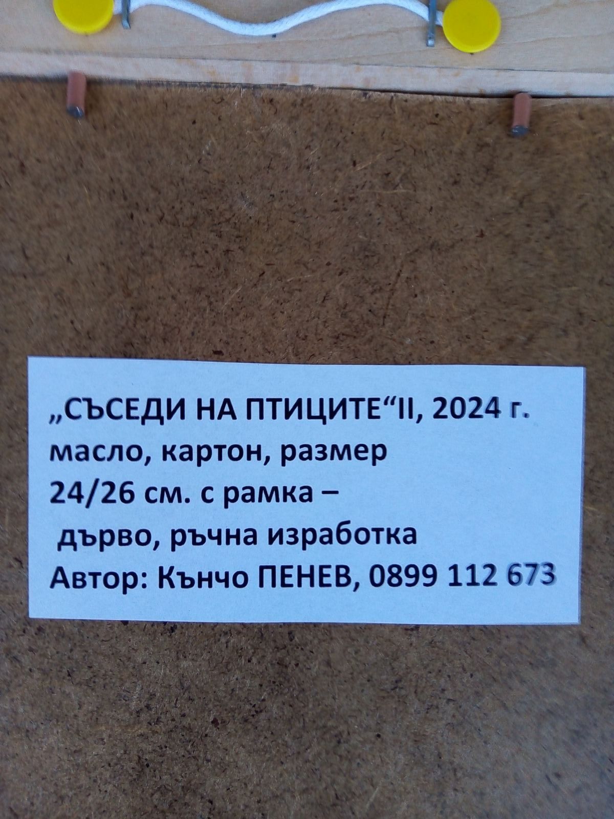 Картина авторска " Съседи на птиците II"