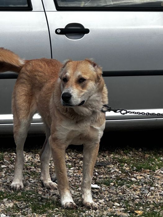 Свободна женска на 11 месеца