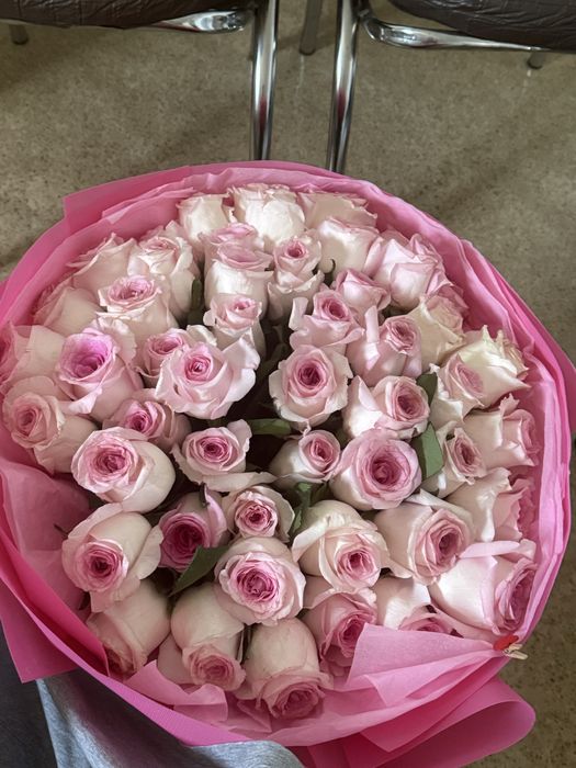 Продам бу цветы 51 шт