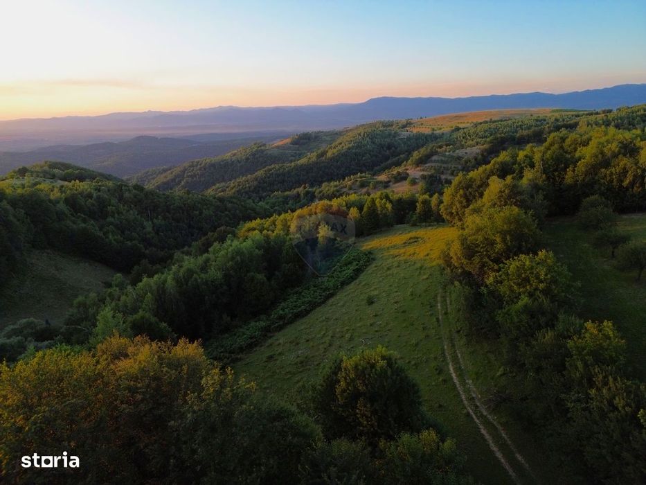 Preluca Noua Jud. Maramures Teren Deosebit De Vanzare