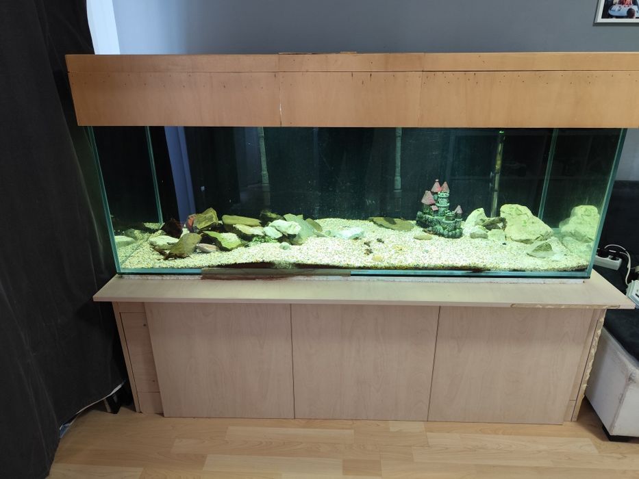 acvariu 500l 160x60x60
