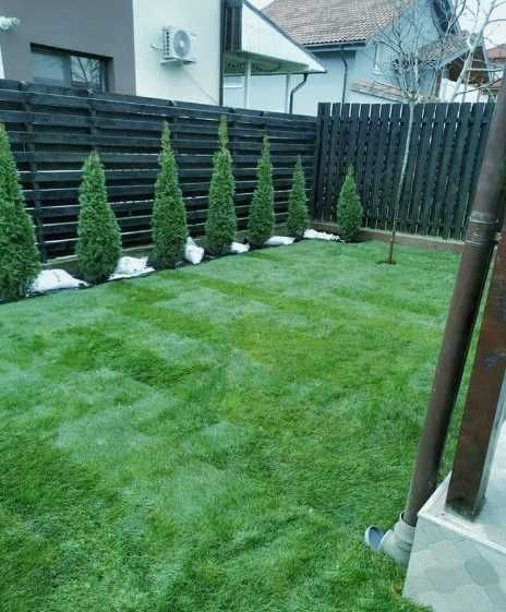 Gazon Rulou Sport / Premium