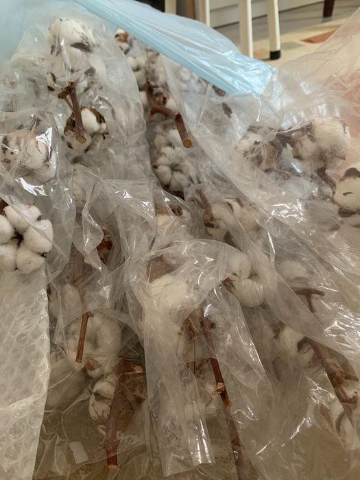 16 Flori de bumbac naturale