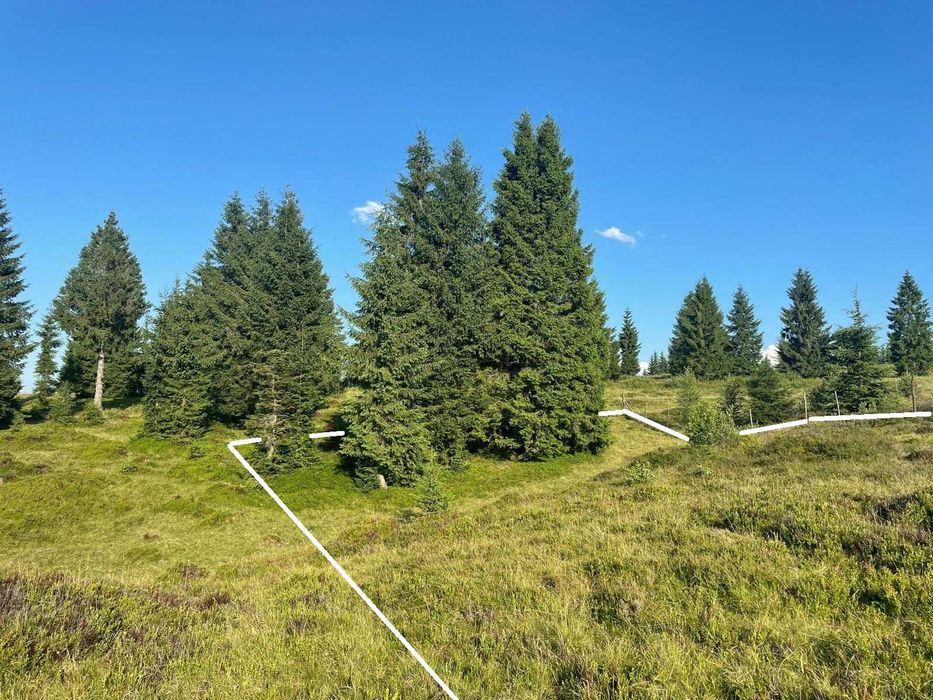 Teren de vanzare, 1000 mp, in zona Belis / Calatele Padure (jud. Cluj)