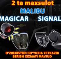 Malibu mejigar va Malibu signal