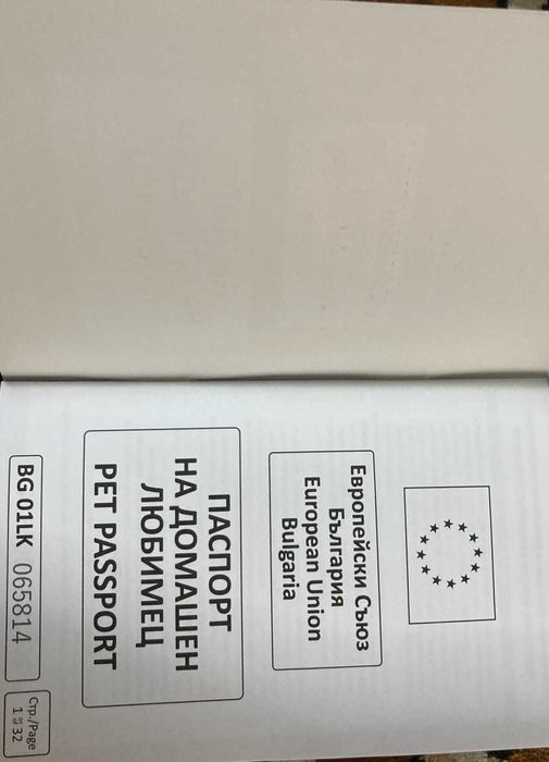 кученце,австралийска овчарка,мъжкар,на 4 месеца, ваксини,паспорт и чип