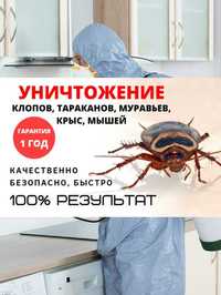Дезинфекция Уничтожение тараканов клопов крыс блох мошек муравьев ос