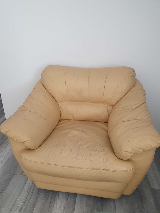 Fotoliu din piele