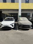 Neta L 310km Full Hybrid Oqga Apelsin Qoraga Apelsin
