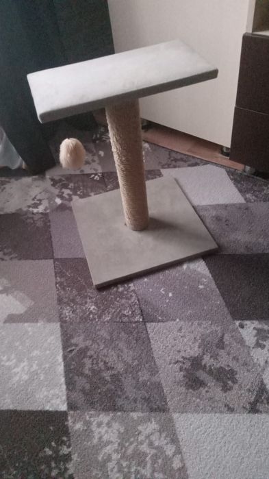 Отдам  кота британца