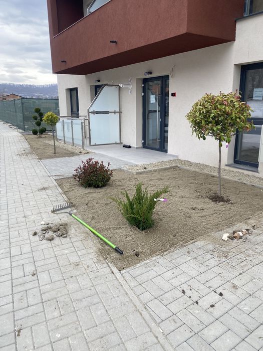 Decorăm grădini cu plante si gazon