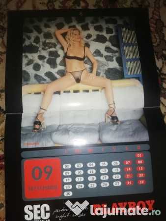 Calendar Playboy 2002 BEST OF de colectie