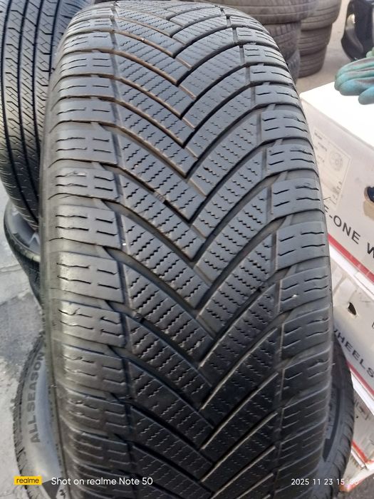 Kobalt arginal r15 diska balon