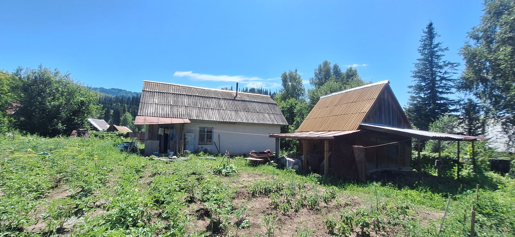 Продам Дом-Дача. С. Топиха