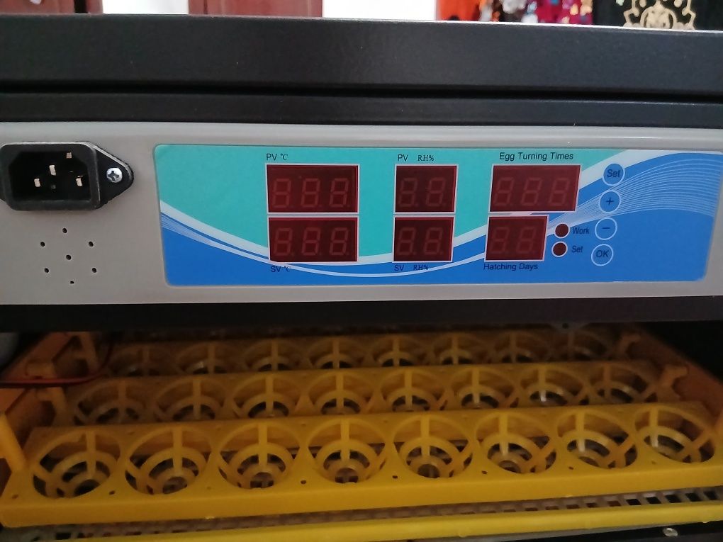 Inkubator original