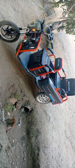 Hali olinganiga bir hafta bõldi