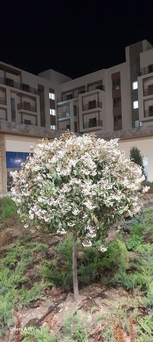 Santexnika palif xizmati