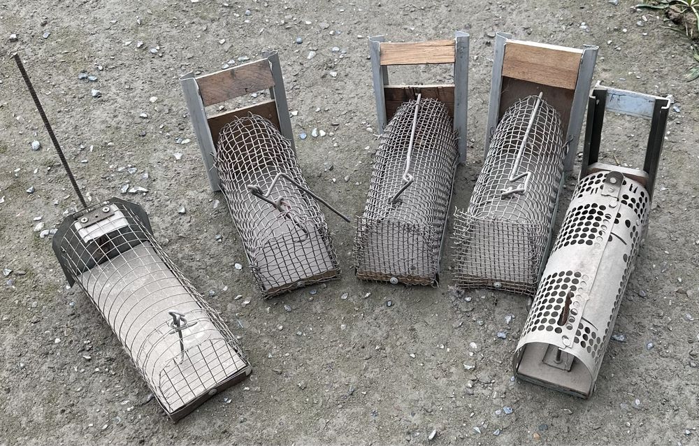 Продаю клетки для ловли крыс