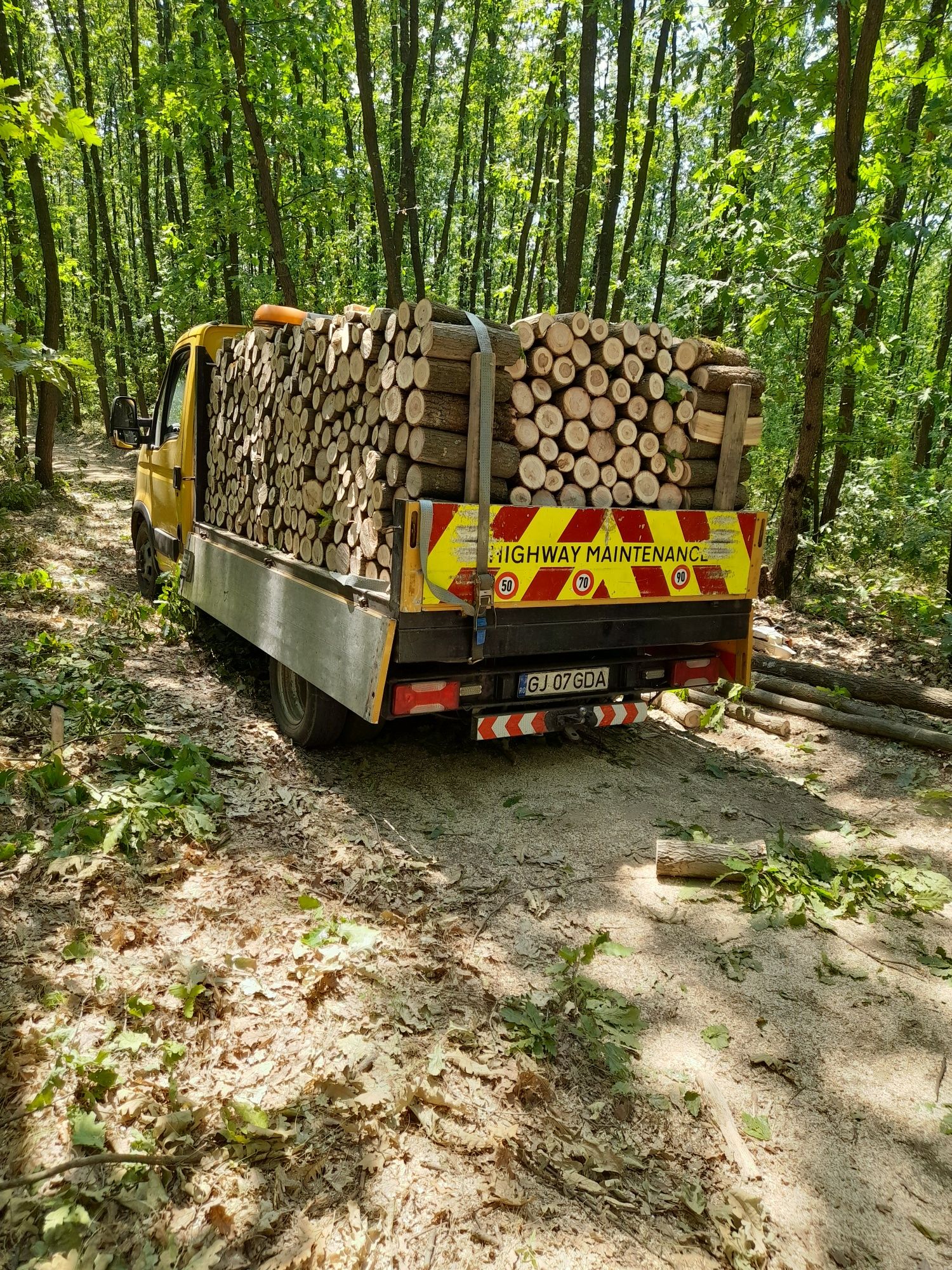 Vand lemn foc/fag ,stejar salcâm spart busean si deșeuri