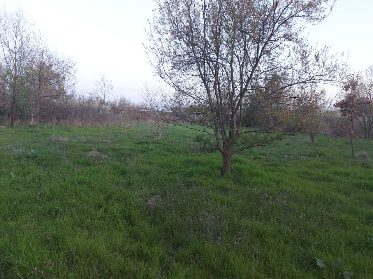 Продава се Парцел в с. Пъстрен, Област Стара Загора - 1414 кв.м за 3 €/кв.м - Снимка #1