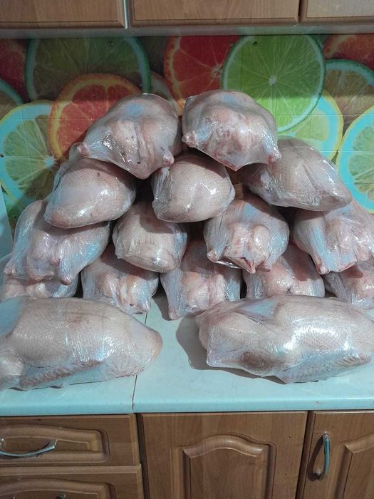 Гуси домашние тушками 4000кг