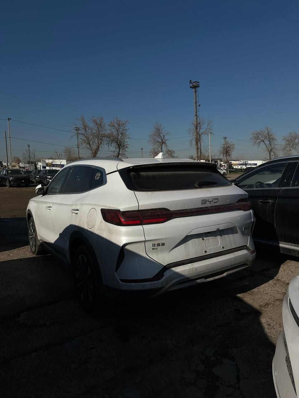BYD Chempion 605 km oq rangli 2025yil restaing Toshkentda tayyor