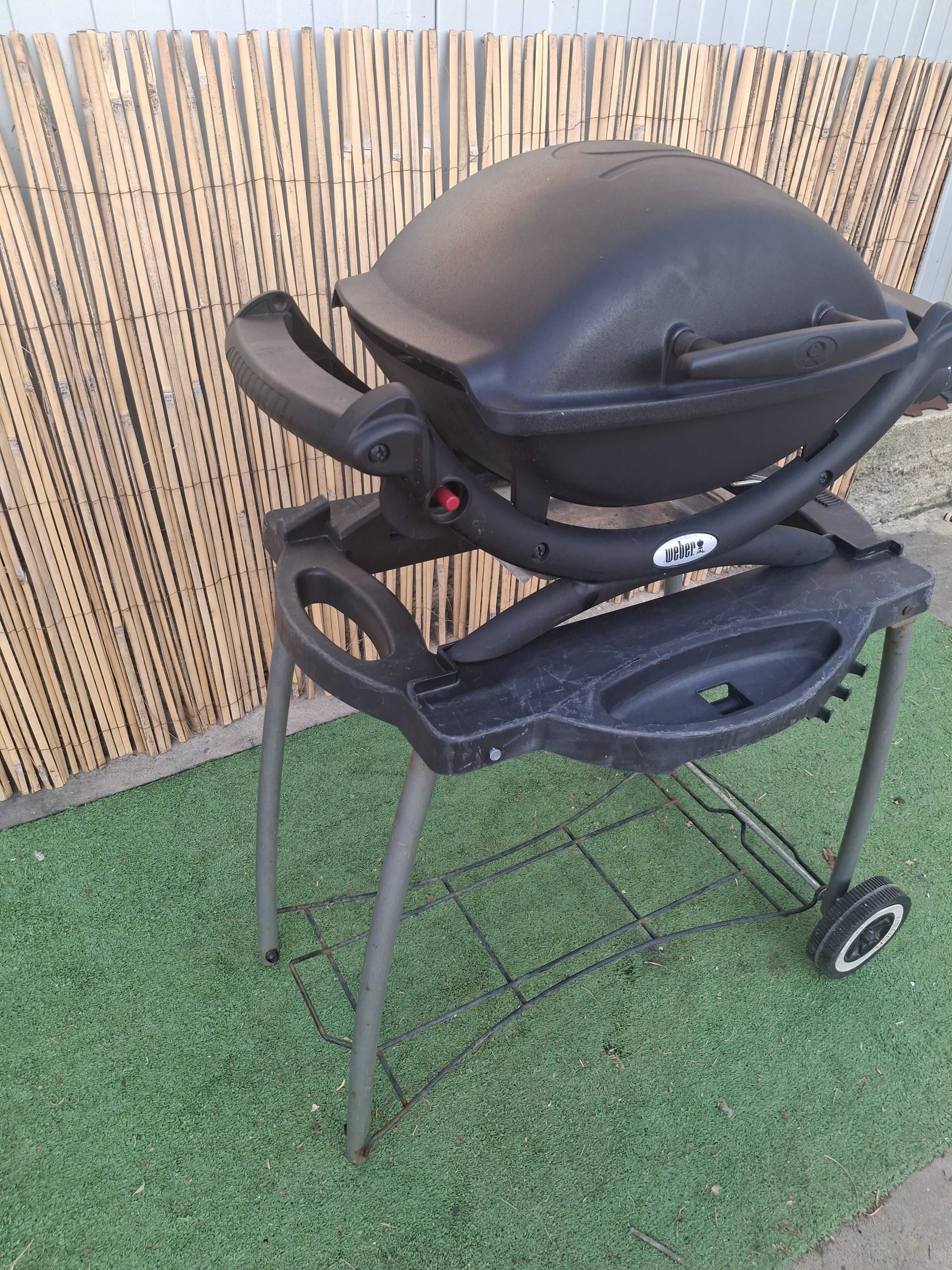 Барбекю на газ Weber Q1000