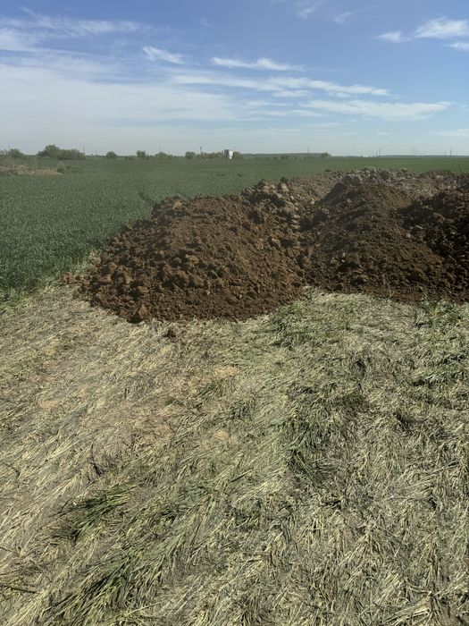 buldoexcavator - basculante 8x4 de inchiriat