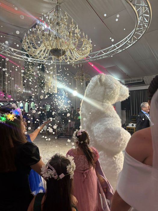 Urs gigant ,2,5 metri