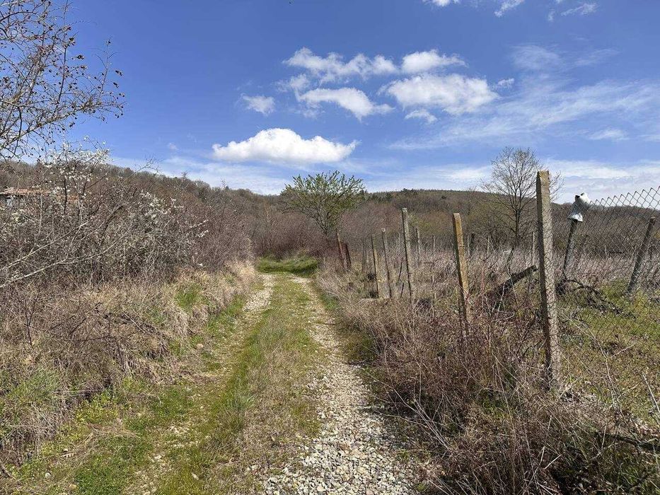 Продава се Парцел в с. Веселие, Област Бургас - 1569 кв.м за 16 €/кв.м - Снимка #2