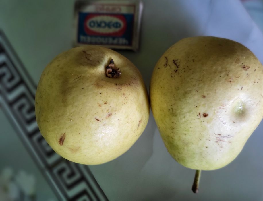 Продаётся дача в районе Плодородие