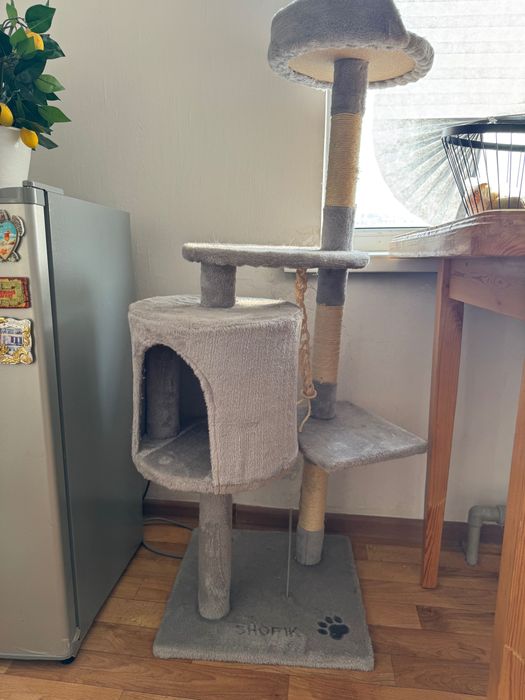 Когтеточка домик