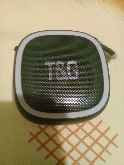 Колонка музыкальная T&G