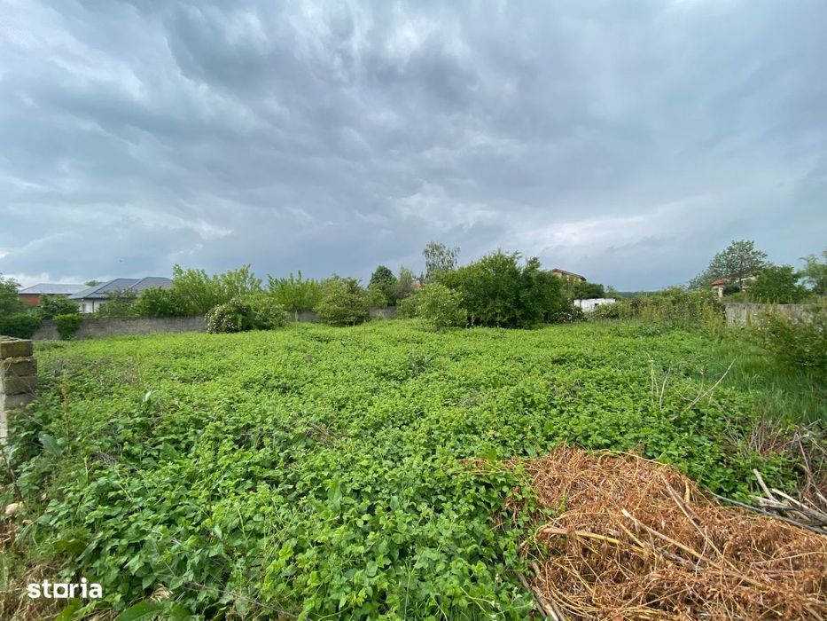 Islaz - Branesti - teren 1374mp - canalizare - gaze - curent - asfalt