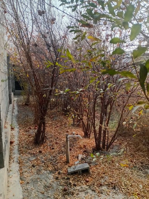 Срочно продаётся