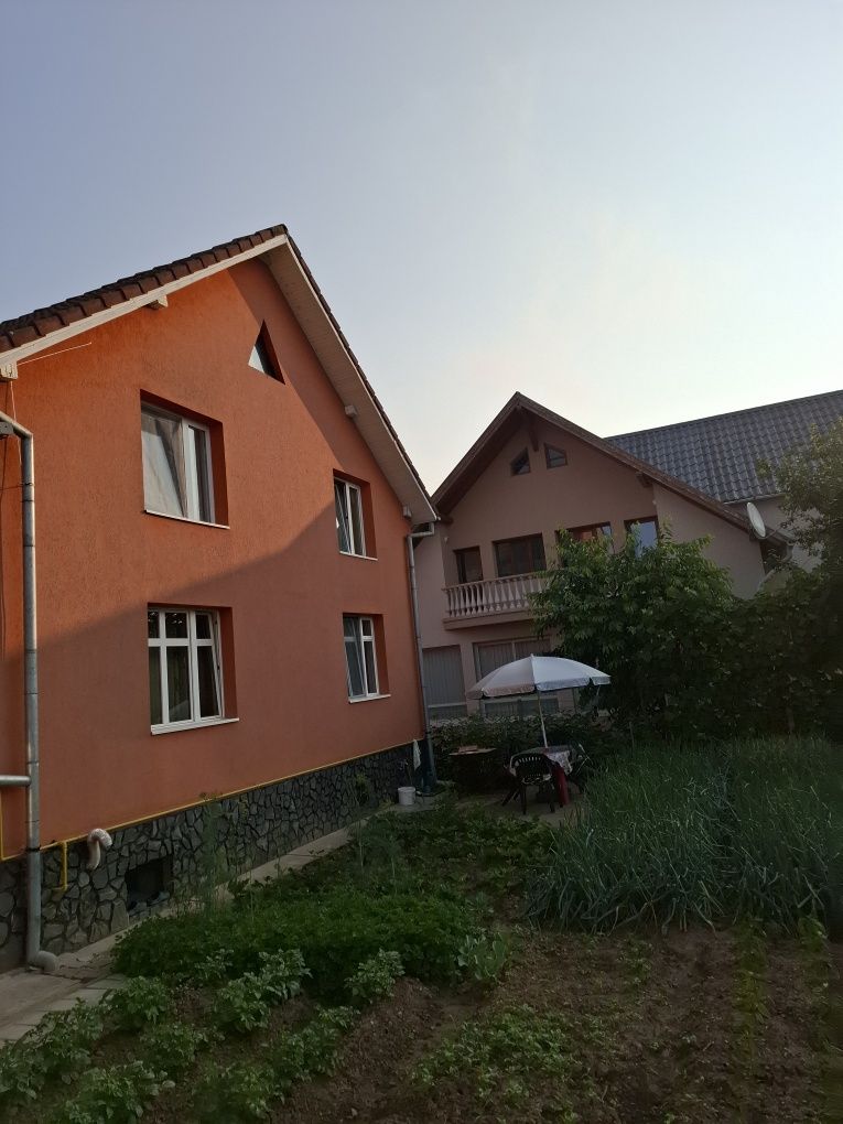 Ușă  de Balcon și Geamuri Termopan