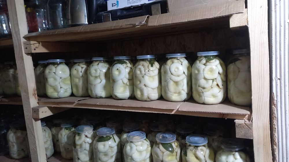 Продам грибы Грузди