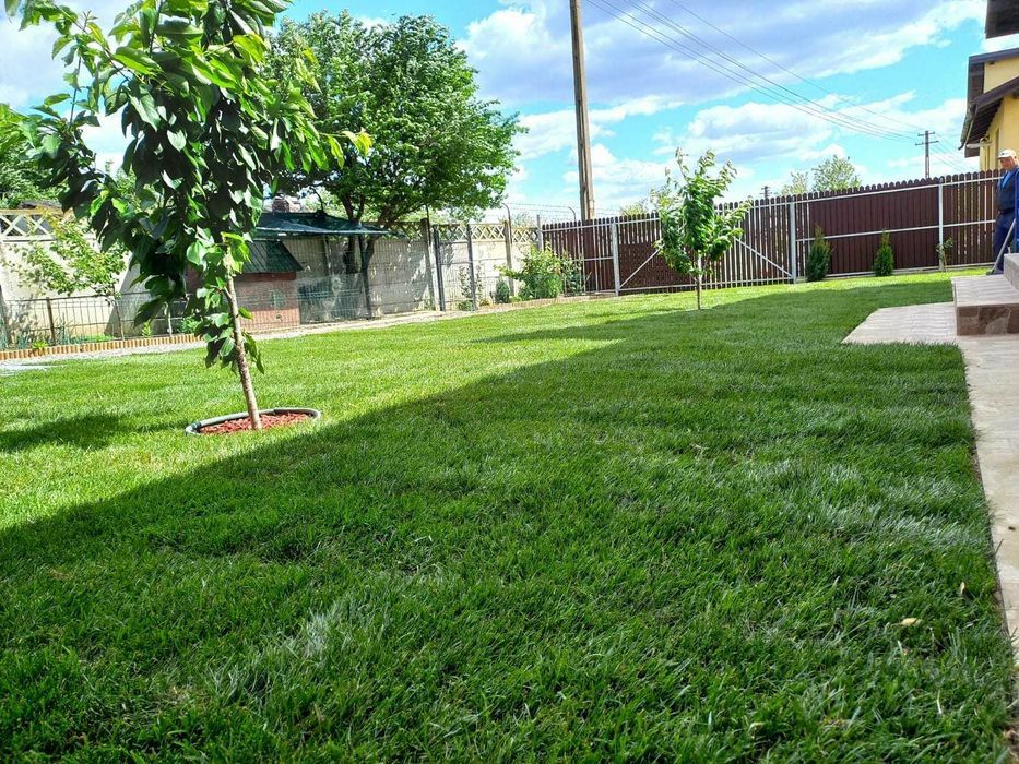 Prestări servicii tuns gazon,iarba,toaletare gard viu