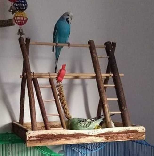 Loc de joacă pentru papagali/alte păsări