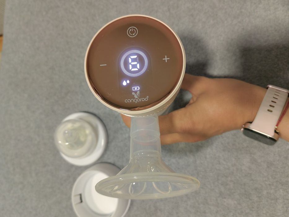 Електрическа помпа за изцеждане на кърма