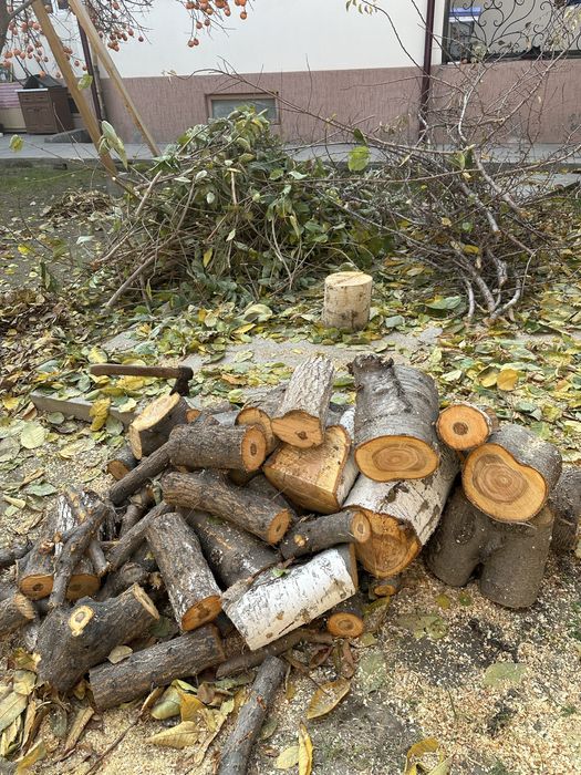 Утин, Дрова бор,