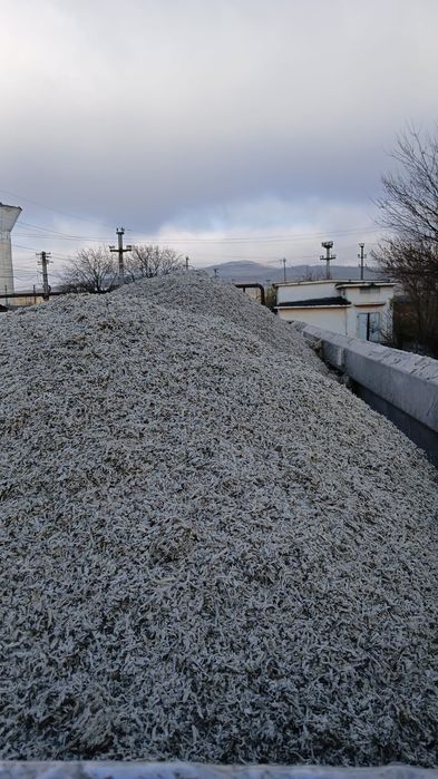 Taitei/borhot sfecla zahar