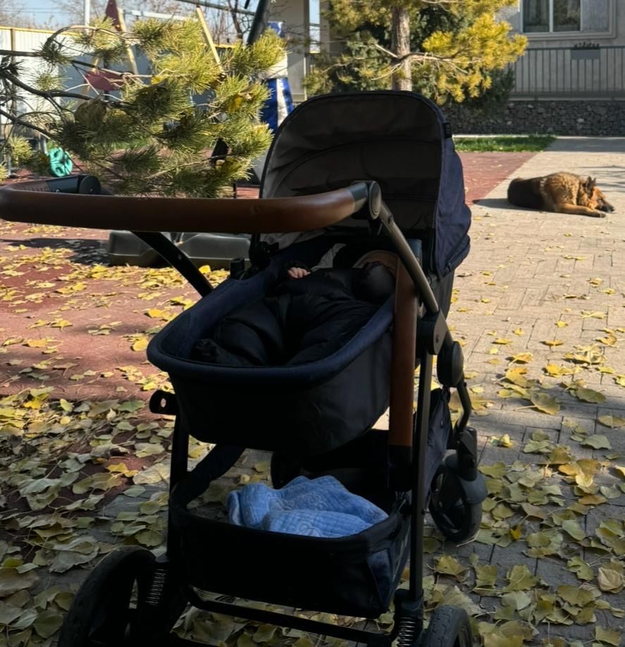 Коляска трансформер Cybex в хорошем состоянии