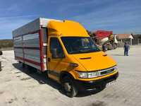 Iveco Daily transport animale