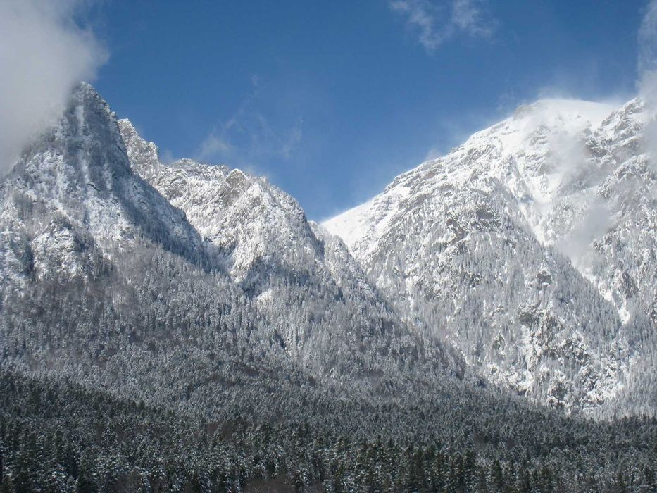 Inchiriere vila Busteni Revelion