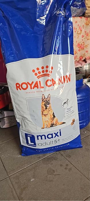 Vand mancare caini Royal Canin