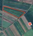 Teren extravilan 1,93 ha. com. Darmanesti, Maritei